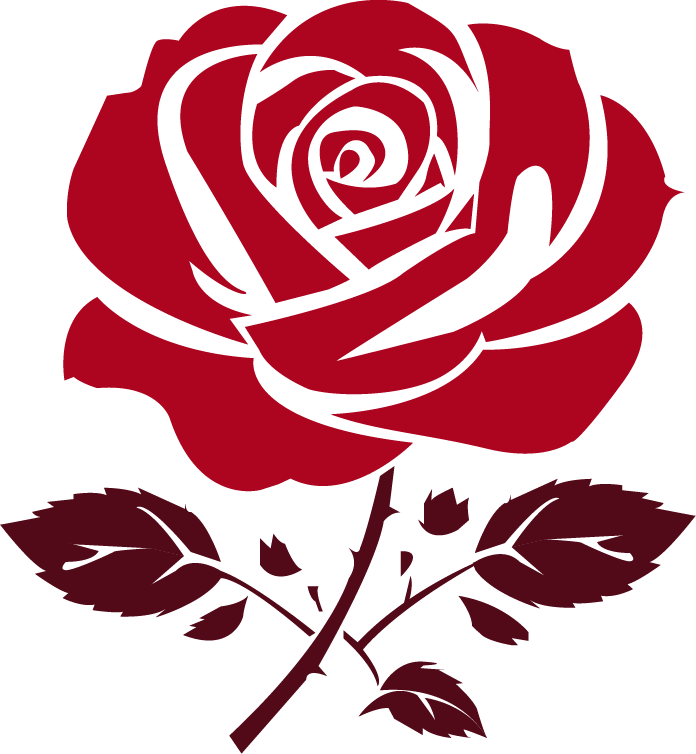 Исцеляющие книги